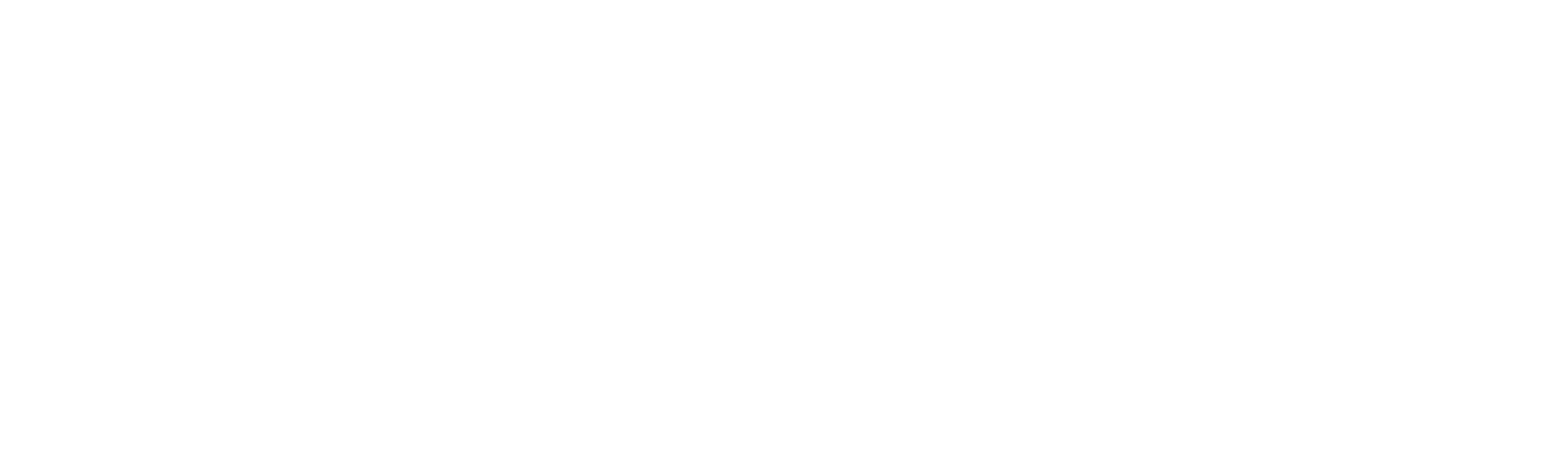 Partnex