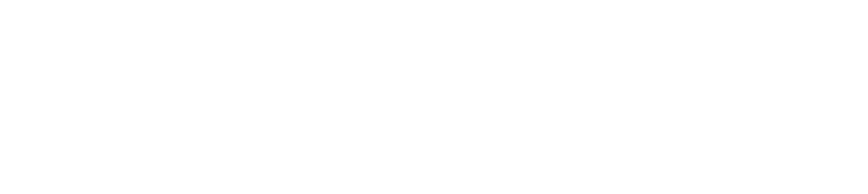 Partnex