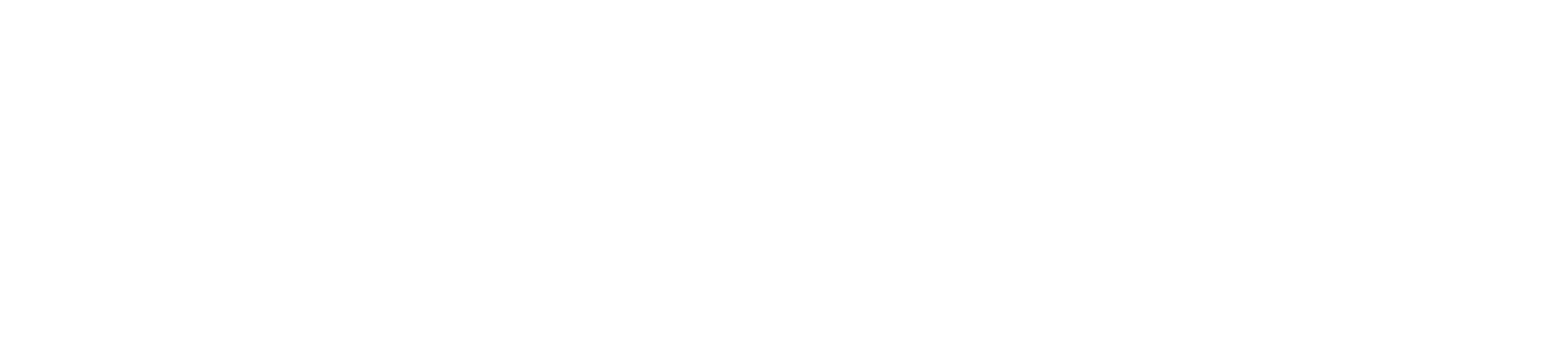Partnex